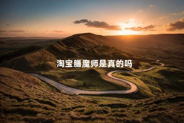 淘宝膳魔师是真的吗