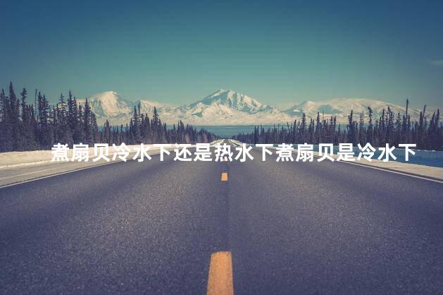 煮扇贝冷水下还是热水下煮扇贝是冷水下还是热水下更好？