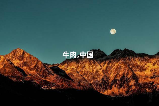 牛肉,中国