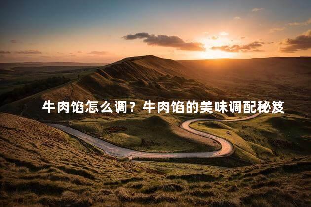 牛肉馅怎么调？牛肉馅的美味调配秘笈