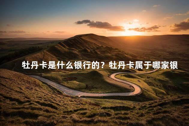 牡丹卡是什么银行的？牡丹卡属于哪家银行？
