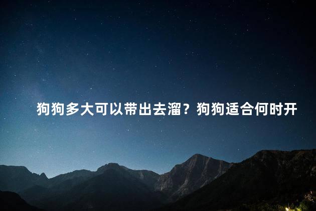 狗狗多大可以带出去溜？狗狗适合何时开始溜散步？