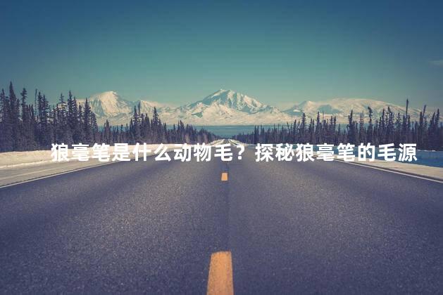 狼毫笔是什么动物毛？探秘狼毫笔的毛源：来自什么动物的毛？