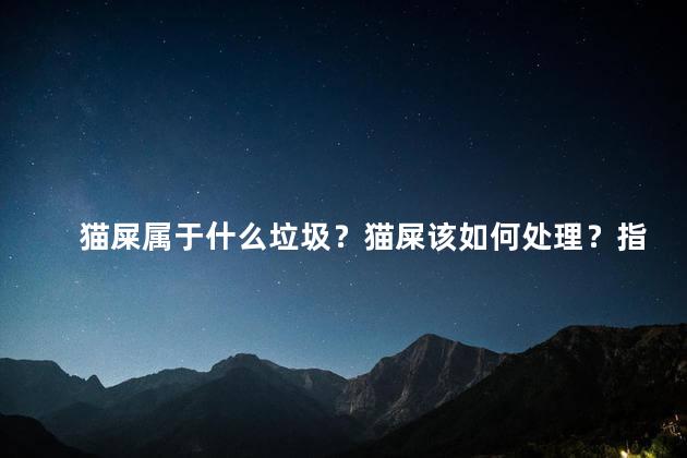 猫屎属于什么垃圾？猫屎该如何处理？指南解析猫屎的处理方法