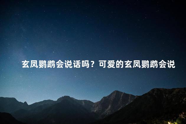 玄凤鹦鹉会说话吗？可爱的玄凤鹦鹉会说人类语言吗