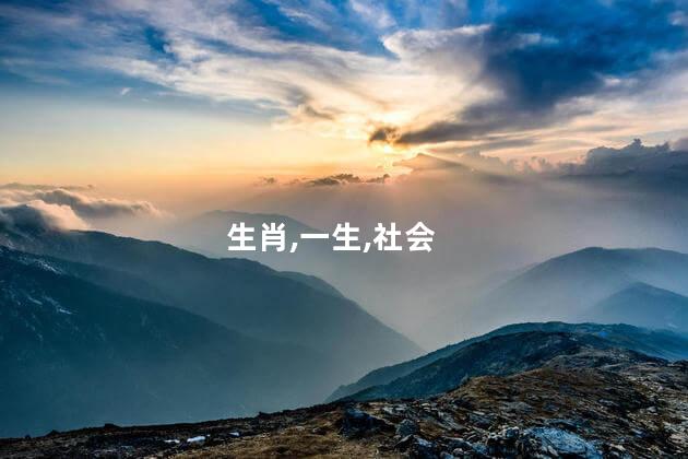 生肖猴一生运程如何？生肖猴的运程全解析