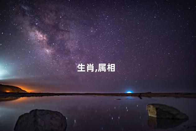 生肖龙和生肖蛇相配吗？生肖龙与生肖蛇是完美的配对