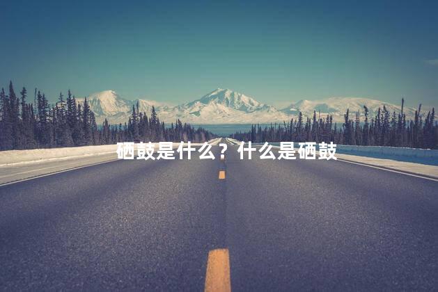 硒鼓是什么？什么是硒鼓