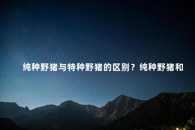 纯种野猪与特种野猪的区别？纯种野猪和特种野猪的区别详解