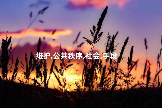 维护公共秩序的基本手段有哪些？维护公共秩序的基本手段
