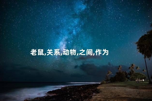 老鼠,关系,动物,之间,作为