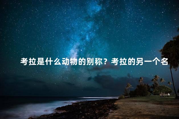 考拉是什么动物的别称？考拉的另一个名字是什么动物