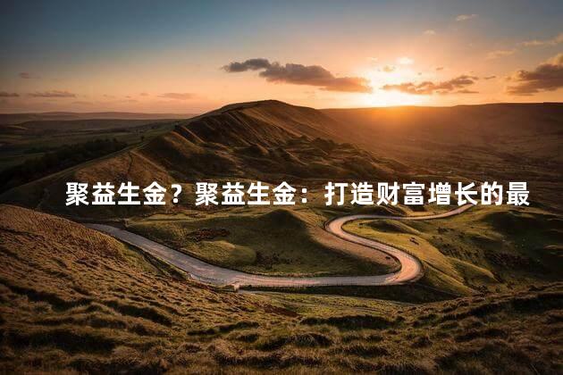 聚益生金？聚益生金：打造财富增长的最佳选择