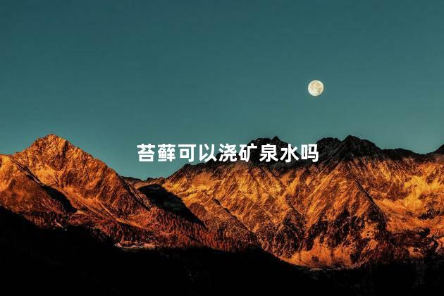 苔藓可以浇矿泉水吗，苔藓可以用纯净水吗