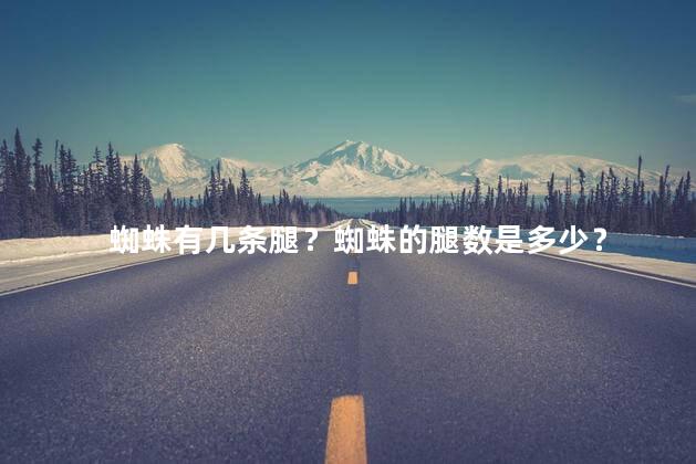 蜘蛛有几条腿？蜘蛛的腿数是多少？