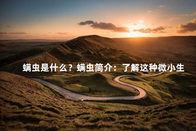 螨虫是什么？螨虫简介：了解这种微小生物的特点