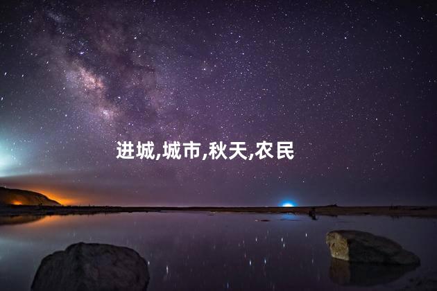 米果的秋天中米果进城遇见了什么？米果的秋天：城市里的惊喜