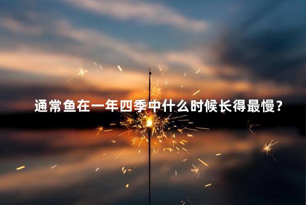通常鱼在一年四季中什么时候长得最慢？淡季鱼的生长速度有所放缓