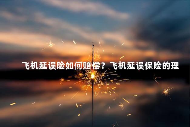 飞机延误险如何赔偿？飞机延误保险的理赔规定