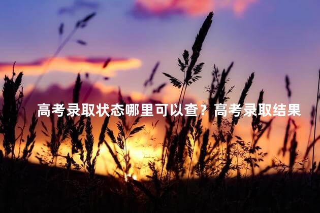 高考录取状态哪里可以查？高考录取结果查询，快速了解录取状态