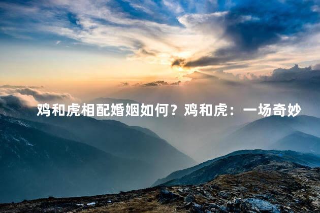 鸡和虎相配婚姻如何？鸡和虎：一场奇妙的婚姻之旅