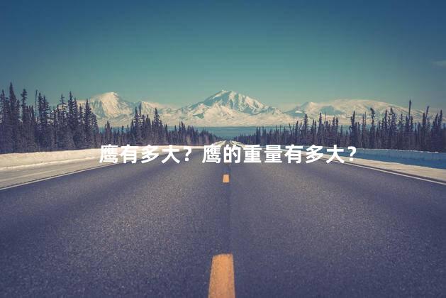鹰有多大？鹰的重量有多大？