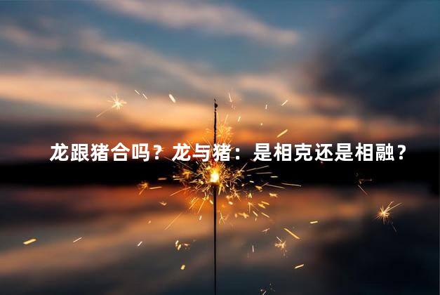 龙跟猪合吗？龙与猪：是相克还是相融？