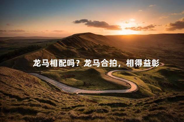 龙马相配吗？龙马合拍，相得益彰